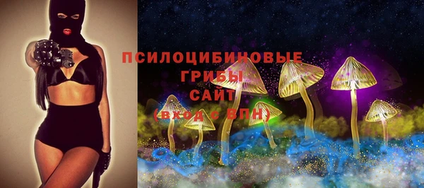 PSILOCYBIN Балабаново