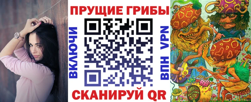 где купить   hydra как войти  Псилоцибиновые грибы Psilocybine cubensis  Сретенск 